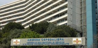 Influenza, sequenziato a Genova il virus dell”australiana’ H3N2