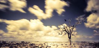 Scienziati anti catastrofisti sfidano i promotori dell’Appello sul Clima: “Pubblico confronto”