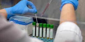 Coronavirus, nel mantovano 41 nuovi casi: +11 in città