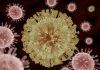 Riscaldamento globale e virus, “più gravi oltre metà malattie infettive”
