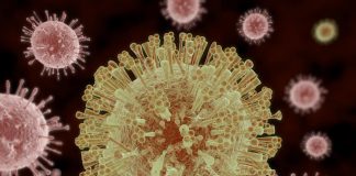 Riscaldamento globale e virus, “più gravi oltre metà malattie infettive”