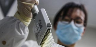 Covid, allo studio super anticorpo che neutralizza tutte le varianti