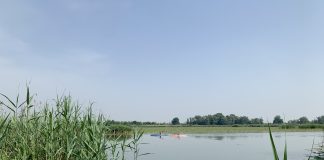 “Verdemente”: laboratorio gratuito di ecopsicologia a Fondo Ostie