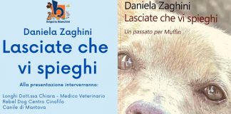 Muffin è pronto a raccontare la sua storia. Senza passato, ma con un presente e un futuro speciale