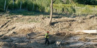 Alluvione Marche, oggi i funerali del piccolo Mattia