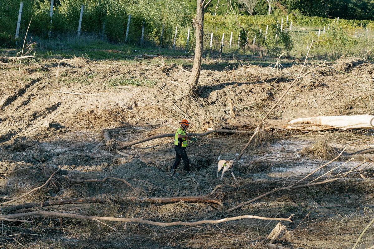 Alluvione Marche Oggi I Funerali Del Piccolo Mattia Mantovauno It