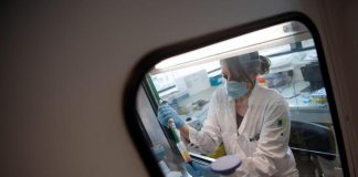 Vaccino covid, andrologi: “Booster non danneggia fertilità maschile”