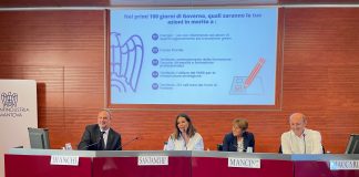 Mantova, cinque quesiti di Confindustria per i candidati