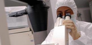 Covid, sindrome infiammatoria in bimbi ha causa genetica: lo studio
