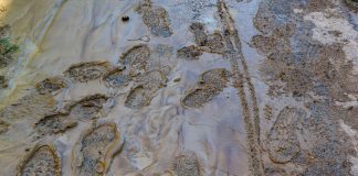 Alluvione Marche, prosegue la ricerca dei tre dispersi