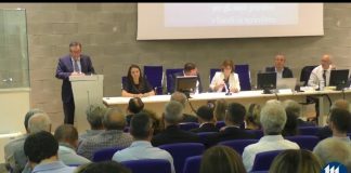 La sfida delle bioenergie, tra opportunità e criticità normative. In Millenaria tutte le novità fiscali