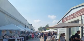 Millenaria, la Lega attacca: “Gestione sempre in mano al centrosinistra, ora chiedono il rilancio?”