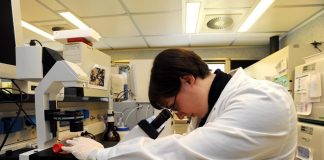 Accordo Humanitas-Philips per intelligenza artificiale in sanità