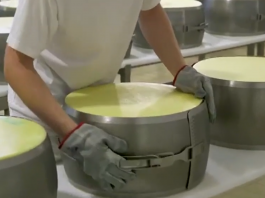 Lattiero caseario, caro energia e aumento del costo del denaro: ripercussioni su aziende e consumatori