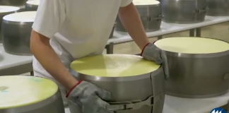 Lattiero caseario, caro energia e aumento del costo del denaro: ripercussioni su aziende e consumatori