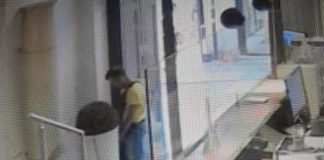 Non sa dove fare i bisogni e così entra nella hall di un hotel e fa pipì su una pianta. Denunciato