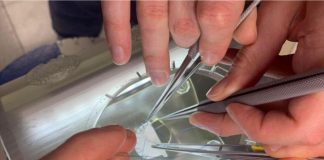 Simulatore gabbia toracica creato con stampa 3D, così si formano i giovani cardiochirurghi
