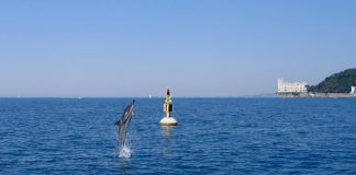 Governo, Deiana (Autorità portuale Sardegna): “Ministero del Mare? Sicuramente più attenzione”