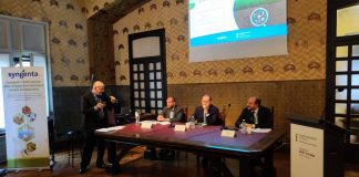 Vanelli (Syngenta): ‘Innovazione fondamentale per rendere agricoltura sostenibile’