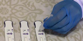 Covid nel mantovano, sono 193 i nuovi positivi. A Mantova +17, a Castiglione +15 casi