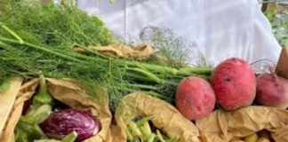 Dieta, l’esperta: “Più difficile dimagrire per i vegetariani, ecco cosa evitare”