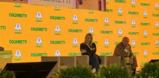 Meloni “Se chiamati a governare daremo risposte immediate ed efficaci”