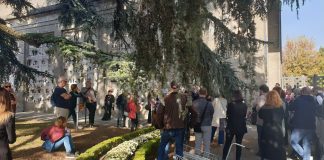 Cedri centenari al Cimitero degli Angeli: ecco il “percorso botanico” alla scoperta del significato degli alberi