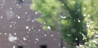 Sole e caldo, in autunno tornano le allergie di primavera