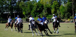 Polo, lo scudetto all’UnoAerre Acquedotto Romano Polo Club
