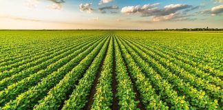 Al via SyngenTalent, la Call4Ideas e Academy per progetti innovazione