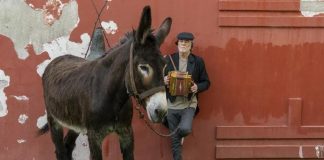 Mimmo Palladino: “La Divina Cometa è il mio film di Natale”