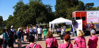 L’oncologa Fabi, ‘Dragon Boat riduce 50% rischi linfedema braccia donne operate a seno’