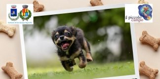 “Hai problemi a gestire il tuo cane?”, a San Giorgio corso per l’accesso alle aree di sgambamento