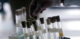 Covid: Msd, studio conferma efficacia e sicurezza antivirale molnupiravir