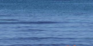 Caldo anomalo, la proposta: “Allungare stagione turismo, posticipare apertura scuole”
