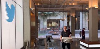 Musk compra Twitter e licenzia quattro top manager: “L’uccellino è libero”