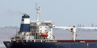 Grano Ucraina, intesa con Onu e Turchia: partono 12 navi