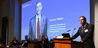 Nobel Medicina 2022 a Pääbo per scoperte sui genomi dei primitivi