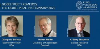 Nobel per la Chimica 2022 a Bertozzi, Meldal e Sharpless