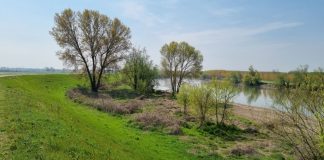 Il progetto del Parco Oglio Sud tra i 12 vincitori del Bando BioClima