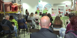 Muffin, il cane senza passato racconta la sua storia