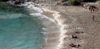 Governo, Messina (Assarmatori): “Ministero Mare? Solo se non svuotato di deleghe”