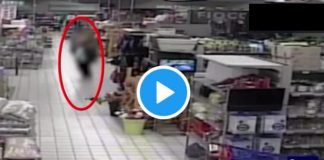 Assago, il video dell’attacco al centro commerciale