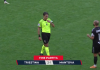 Calcio Serie C: Triestina-Mantova 2-1. Gli highlights