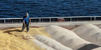 Ucraina, Mosca sospende partecipazione ad accordo su grano