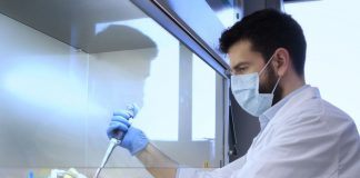 Giornata mondiale tumore al pancreas, ricerca e terapie mirate per combattere la malattia