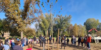 Giornata nazionale dell’albero: nuove piante per il bosco di Valletta Valsecchi