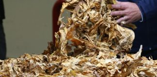Philip Morris, nuovi investimenti a Marcianise e Bastia Umbra