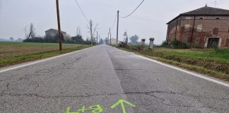 A Suzzara entrano nel vivo i lavori per il piano asfalti