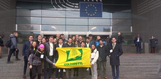 I giovani di Coldiretti Mantova portano a Bruxelles la petizione contro il cibo sintetico